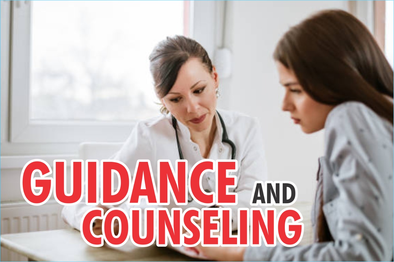 What Is Meant By Guidance And Counselling